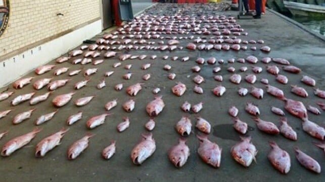 U.S. Prosecutes Mexican Fishermen for Poaching Red Snapper off Texas