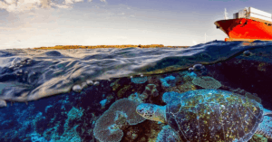 IMO Secretary-General Demands Collective Action To Safeguard Marine Environment