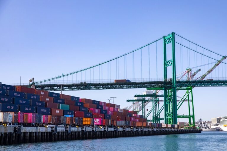 Port of Los Angeles Sets June Cargo Record Amid Tariff Concerns
