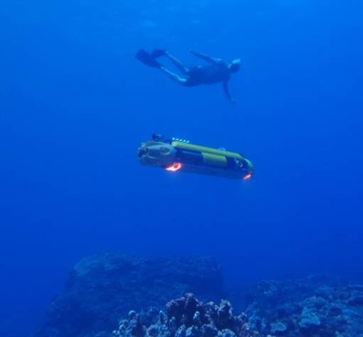 Nortek Nucleus Supports Coral Reef Photogrammetry Project