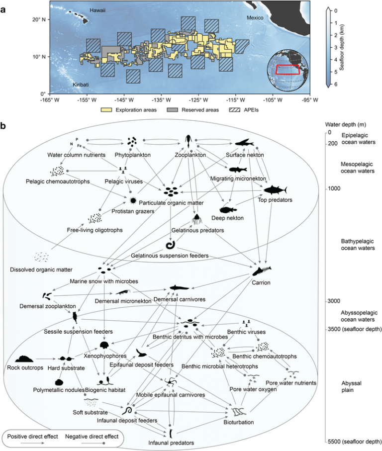 Seabed Mining: Defining Serious Harm