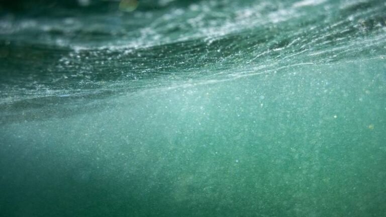 Google-Backed Coalition to Help Scale Up CO2 Removal