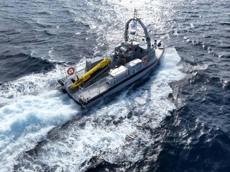 LARS: Not Just a Simple Handling Tool